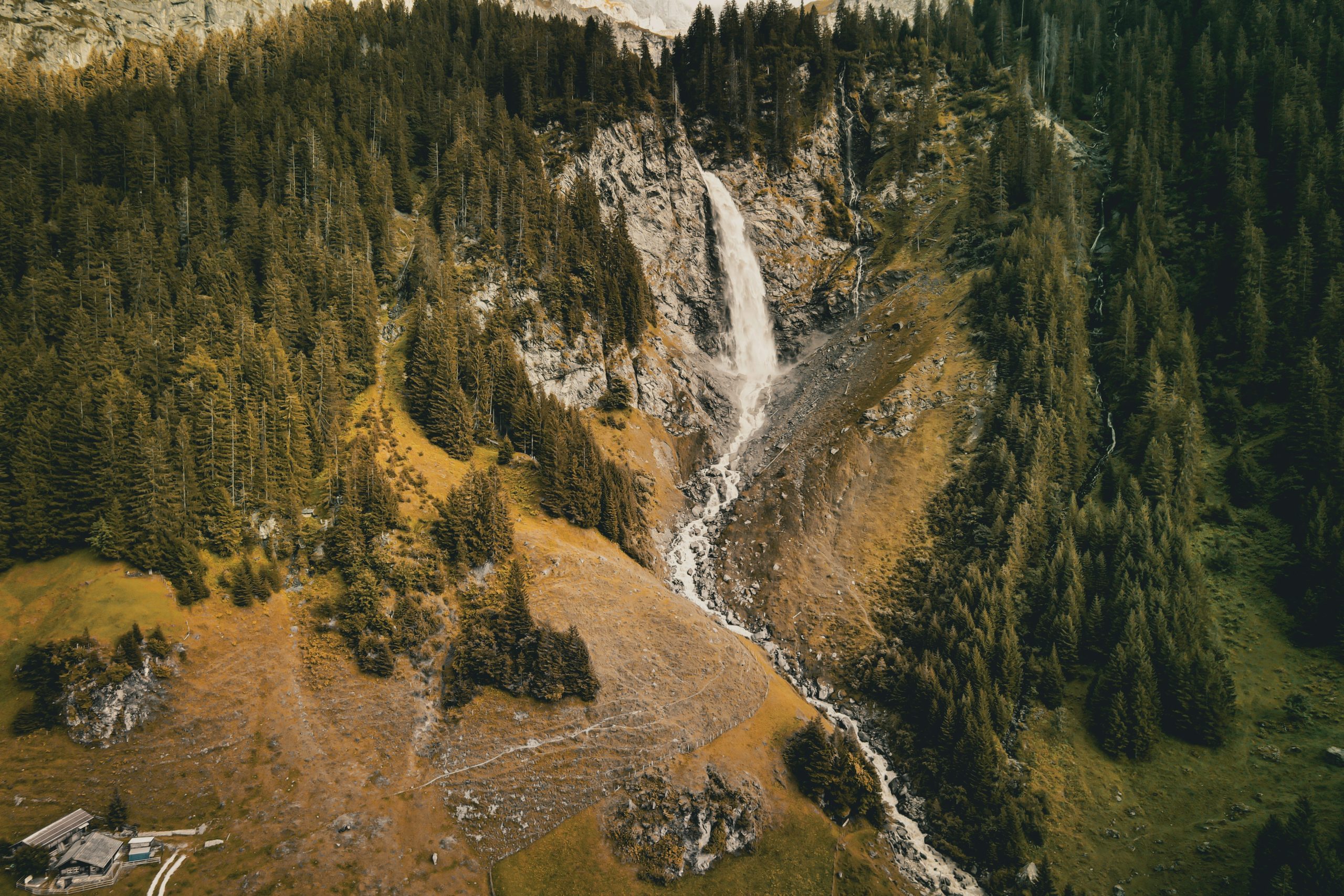 A close-up image showing blurry footage captured by a regular trail camera