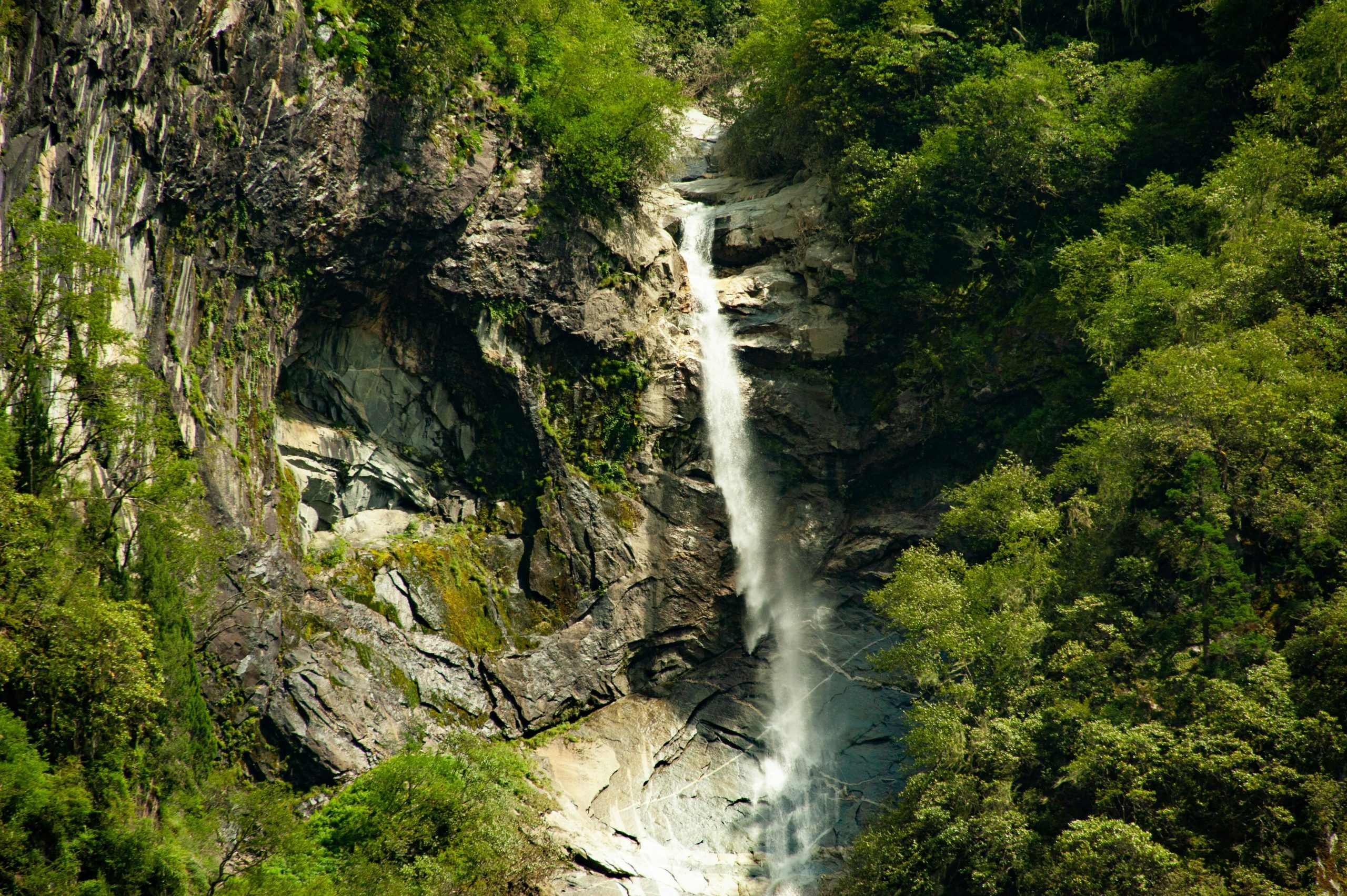 A close-up of cascading waterfalls surrounded by lush greenery