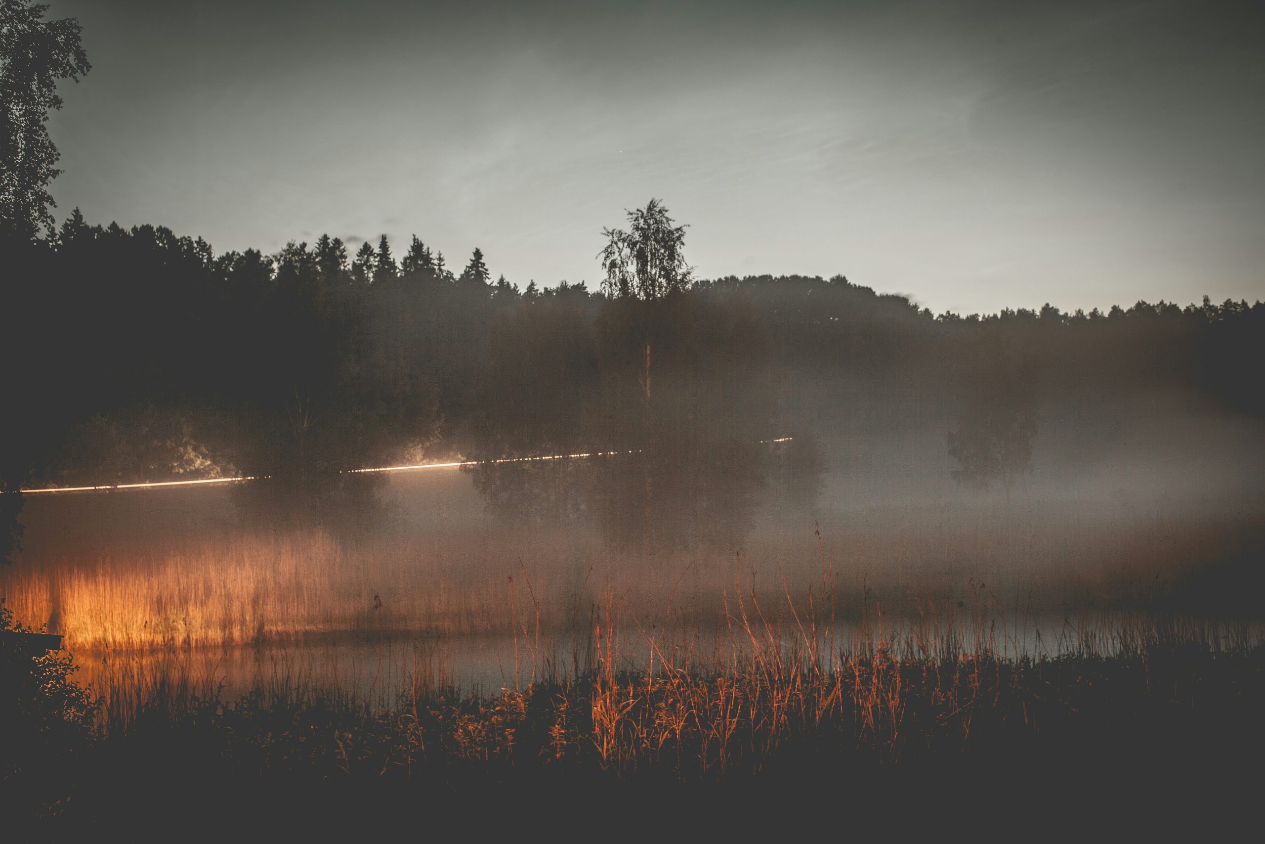 A majestic photo of wolves crossing a misty river in early morning light