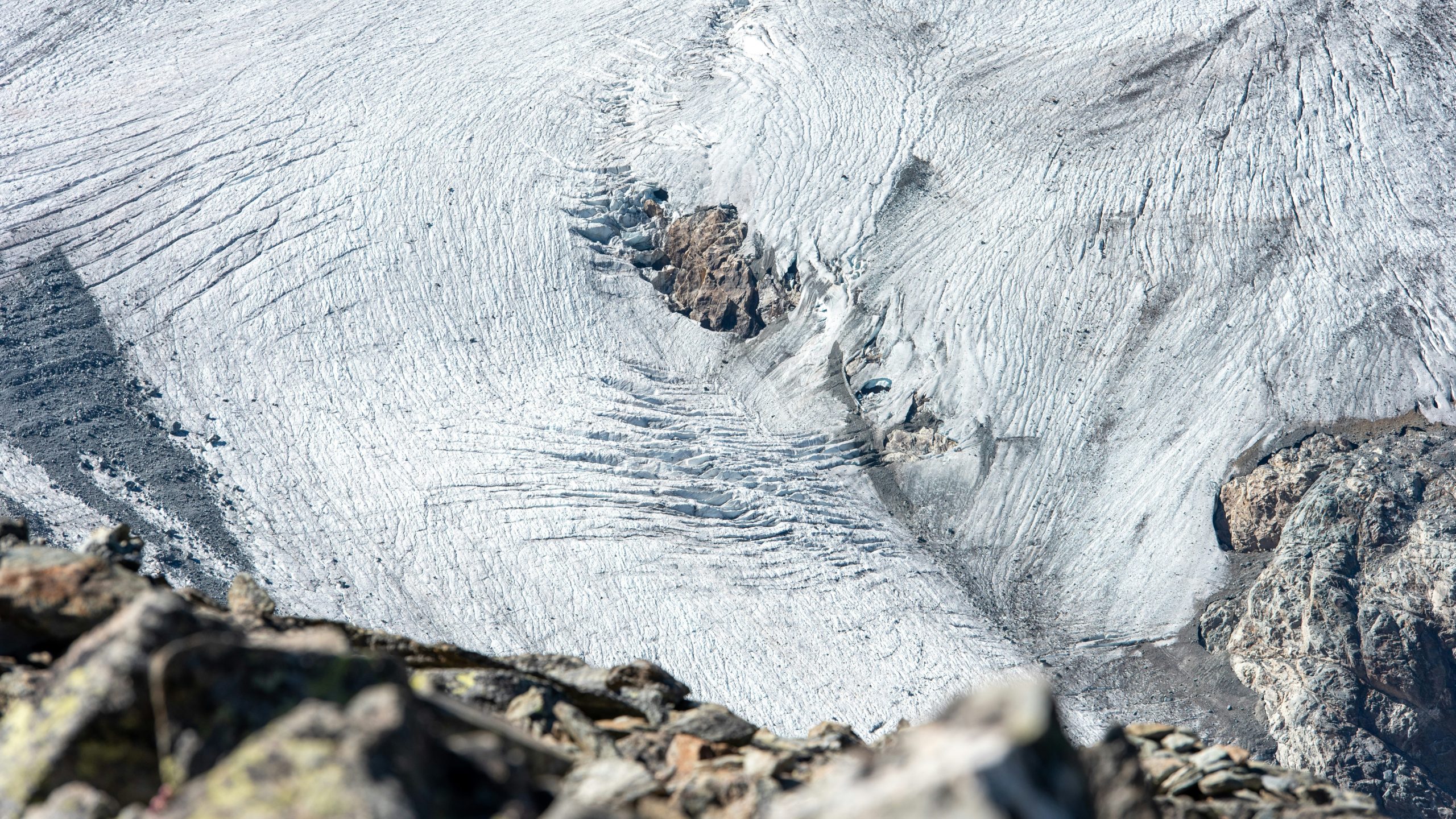 Hiker reviewing footage of otters caught by a motion detection camera