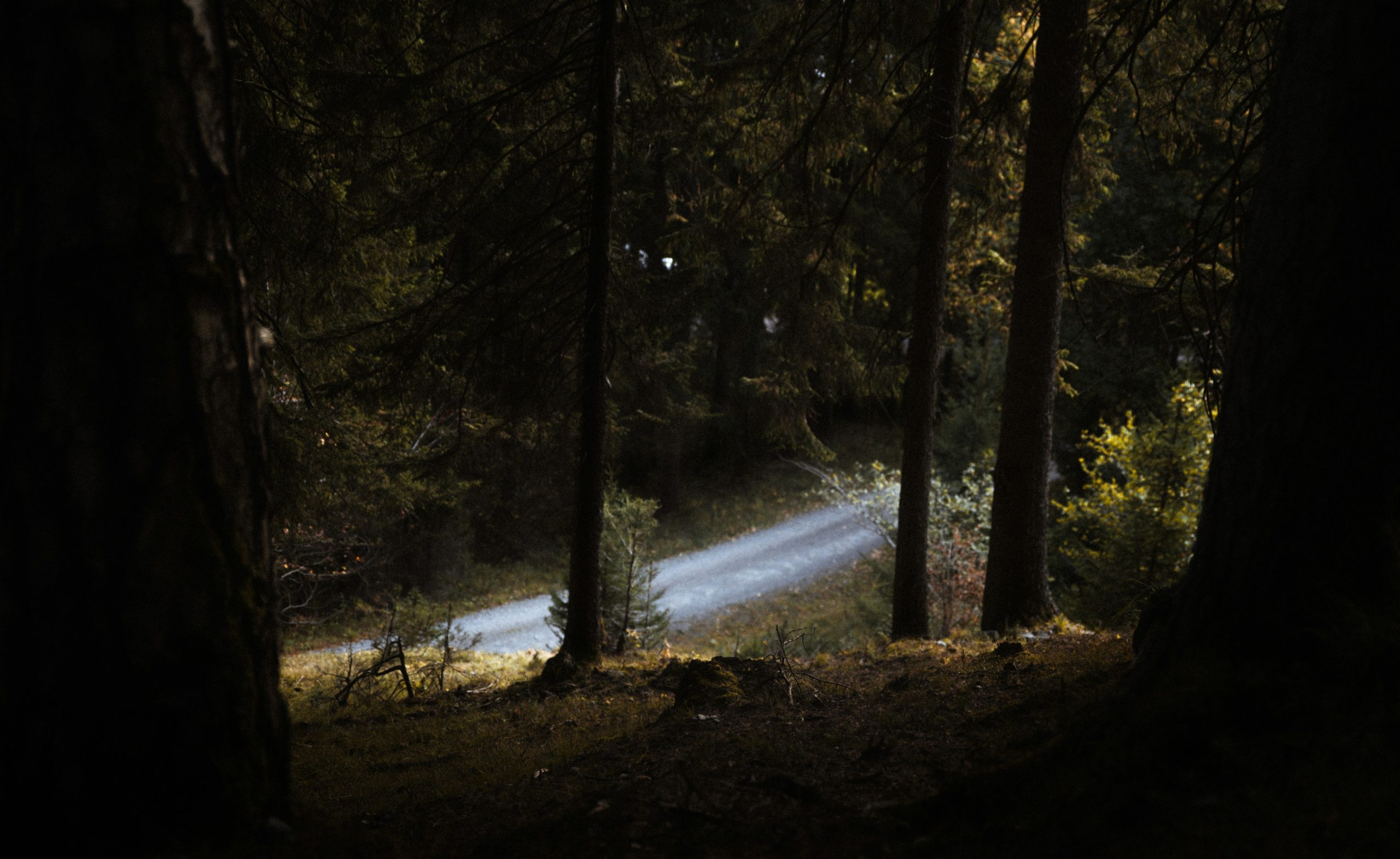 night hiking trail