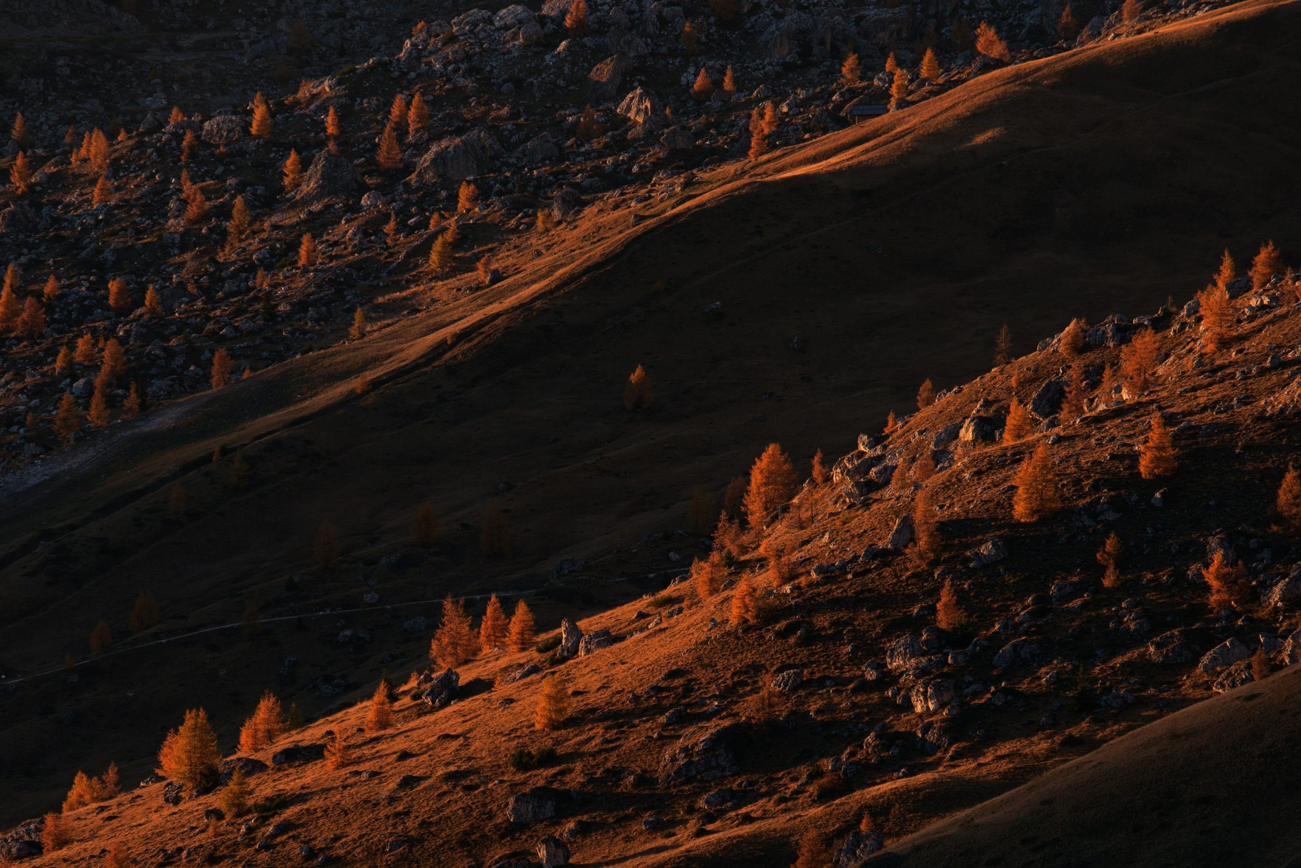 Screenshot showing before-and-after editing process of a viral hiking video clip by TrailCamPro