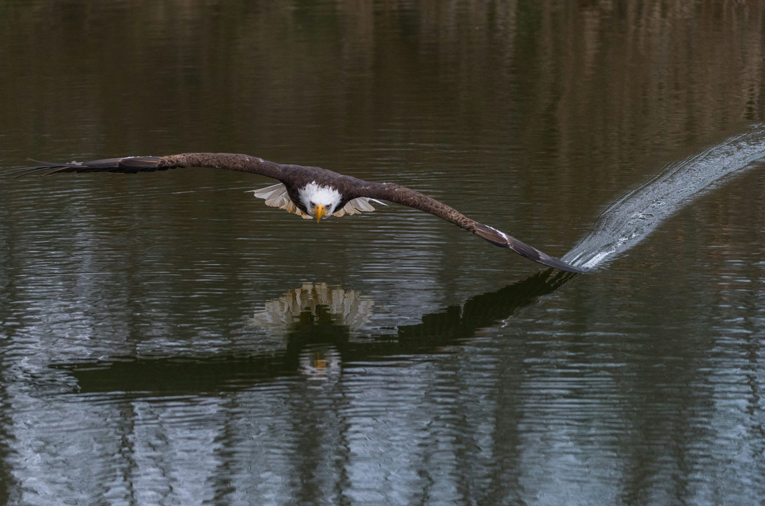 wildlife photographer on hiking trail